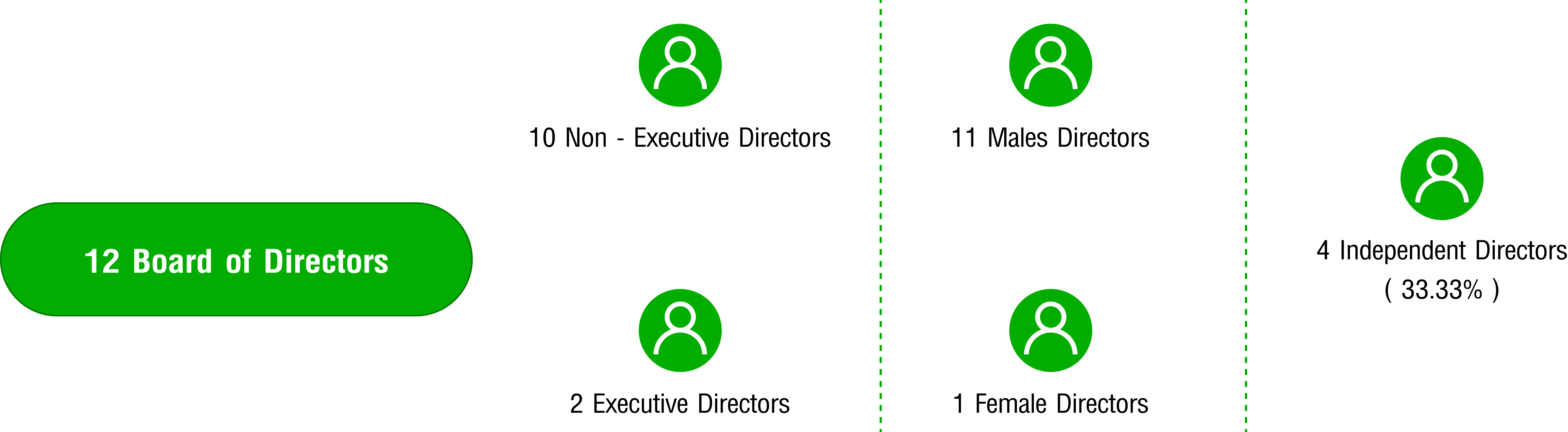  Board Structure